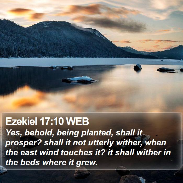 Ezekiel 17:10 WEB Bible Study