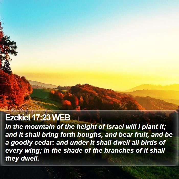 Ezekiel 17:23 WEB Bible Study