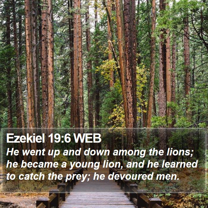 Ezekiel 19:6 WEB Bible Study