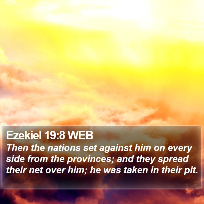 Ezekiel 19:8 WEB Bible Study