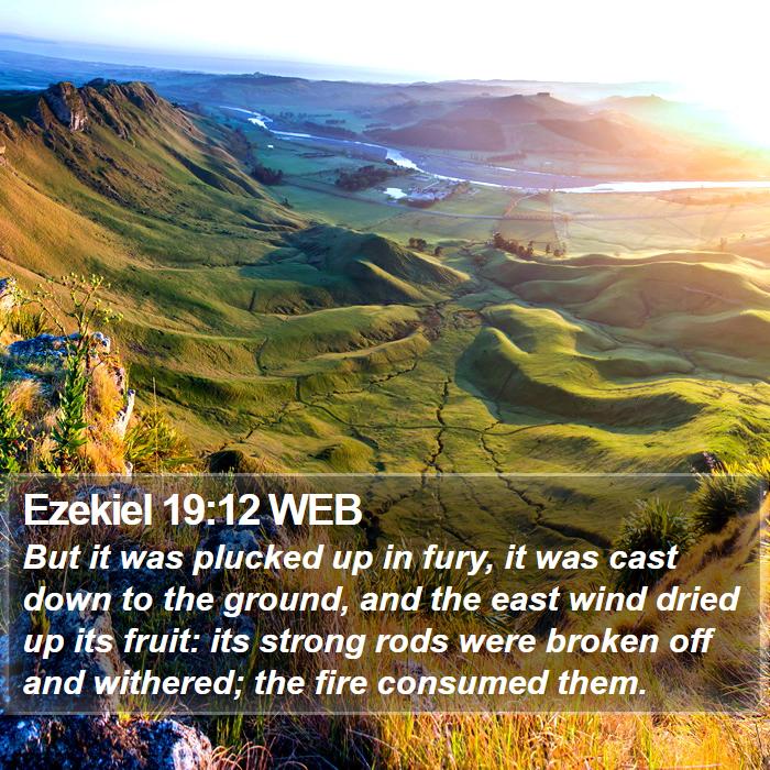 Ezekiel 19:12 WEB Bible Study