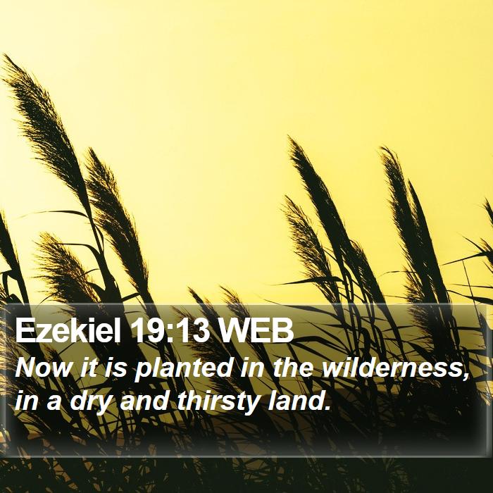 Ezekiel 19:13 WEB Bible Study