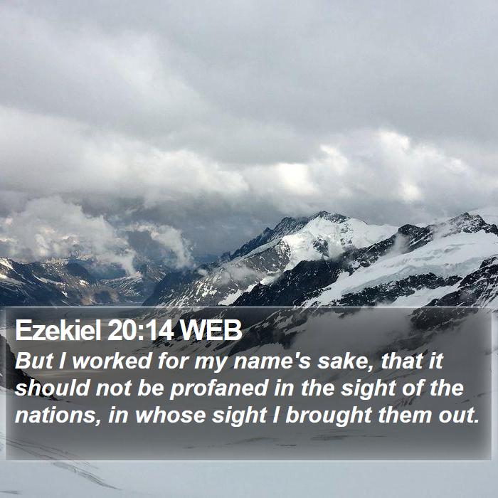 Ezekiel 20:14 WEB Bible Study