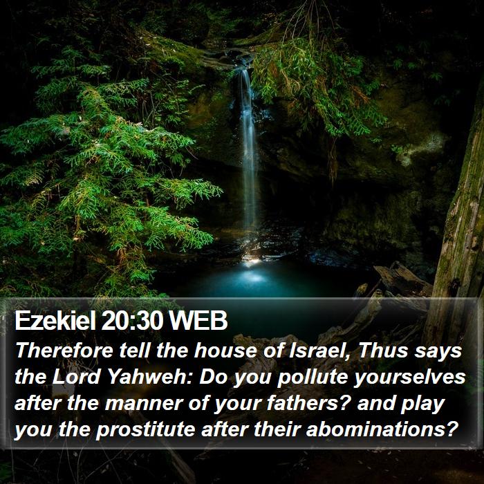 Ezekiel 20:30 WEB Bible Study