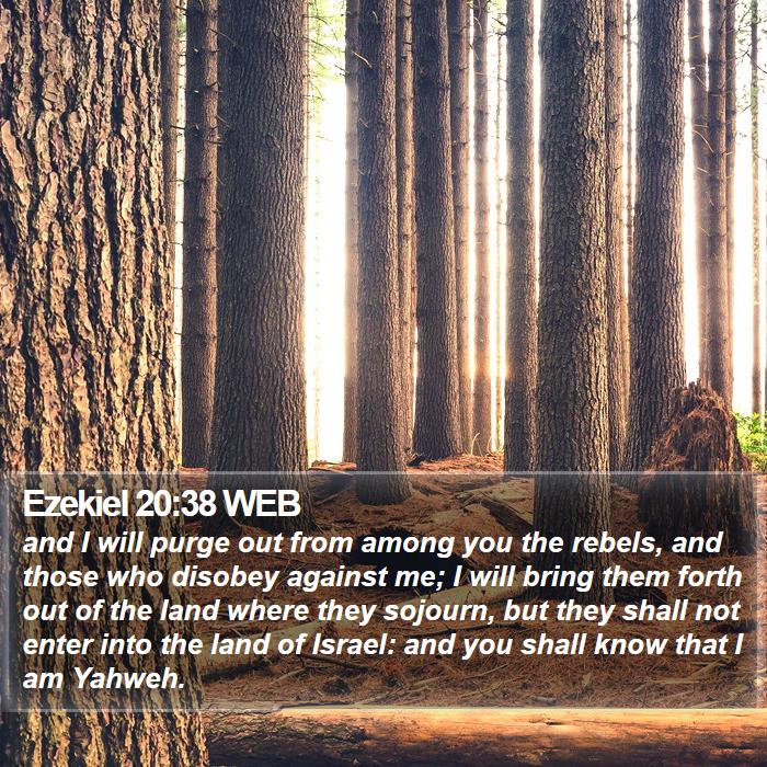 Ezekiel 20:38 WEB Bible Study