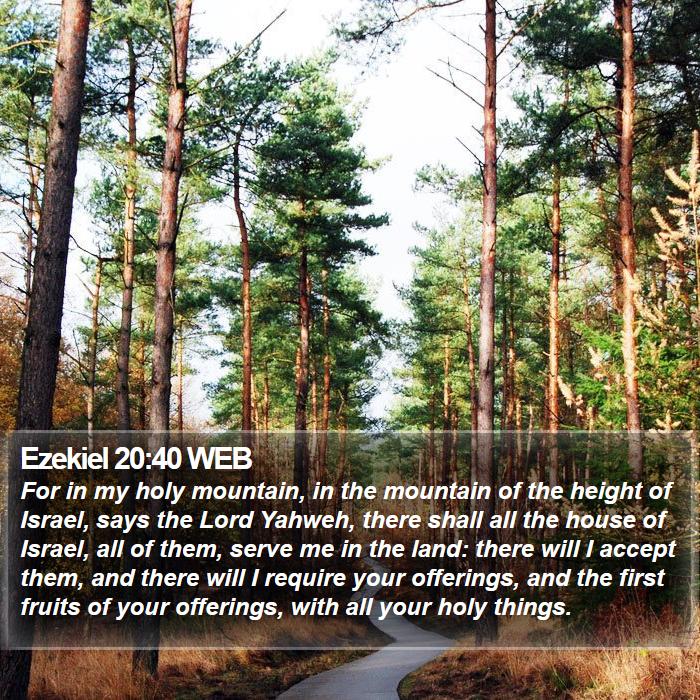 Ezekiel 20:40 WEB Bible Study