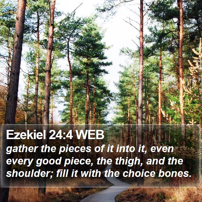 Ezekiel 24:4 WEB Bible Study