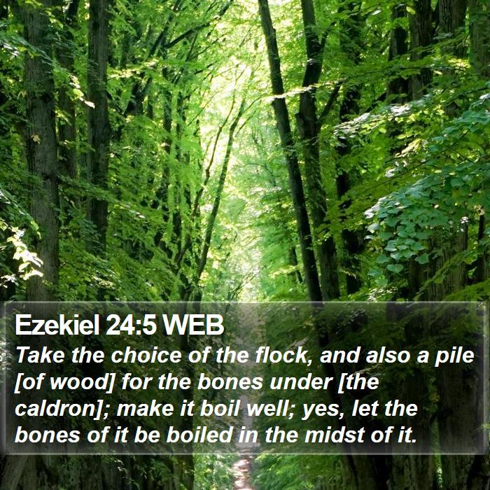 Ezekiel 24:5 WEB Bible Study