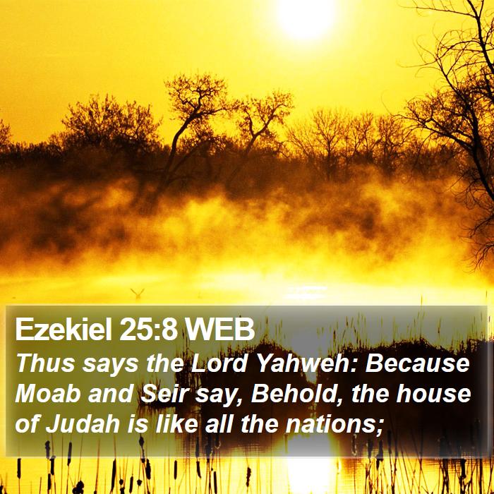 Ezekiel 25:8 WEB Bible Study