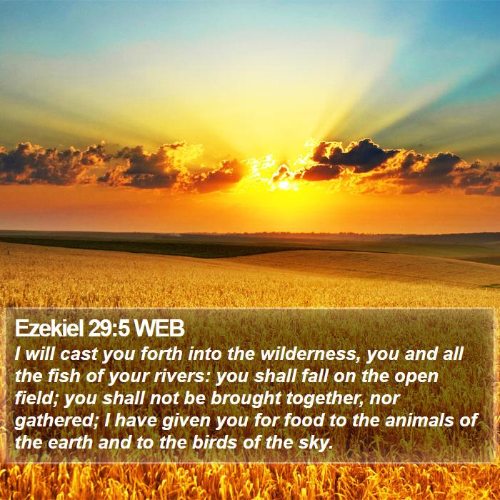 Ezekiel 29:5 WEB Bible Study