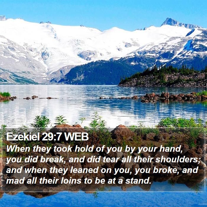 Ezekiel 29:7 WEB Bible Study