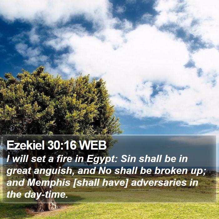 Ezekiel 30:16 WEB Bible Study