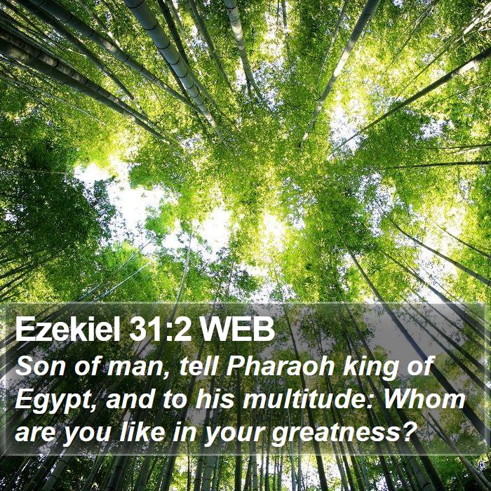 Ezekiel 31:2 WEB Bible Study