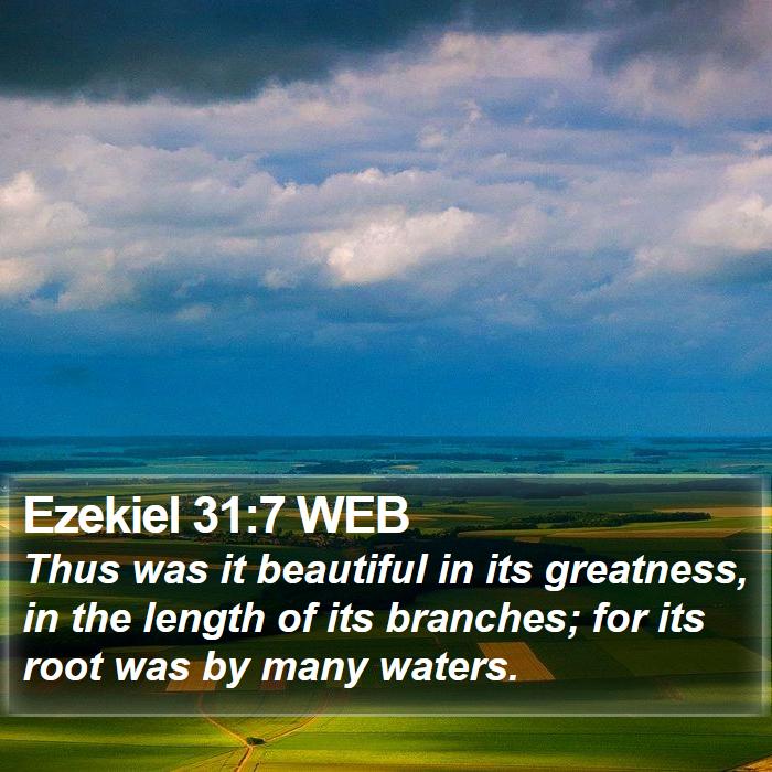 Ezekiel 31:7 WEB Bible Study