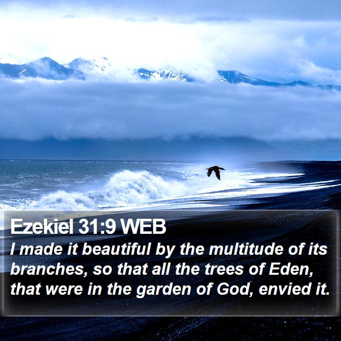 Ezekiel 31:9 WEB Bible Study