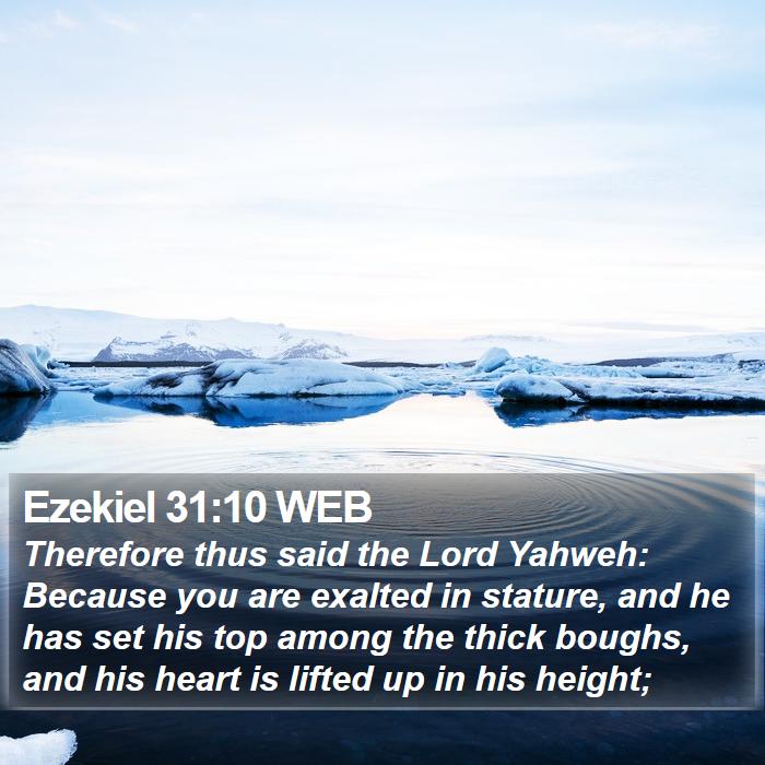 Ezekiel 31:10 WEB Bible Study