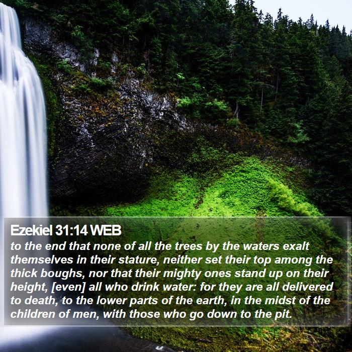 Ezekiel 31:14 WEB Bible Study