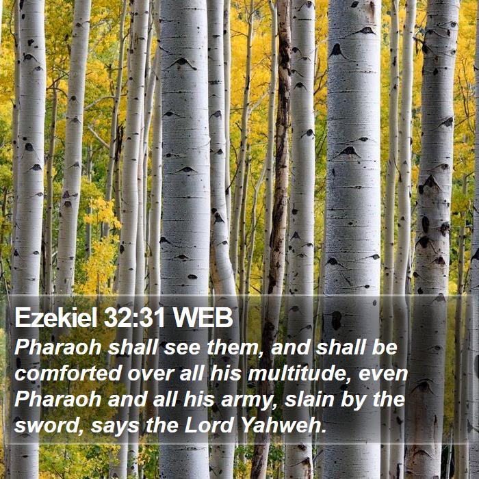 Ezekiel 32:31 WEB Bible Study