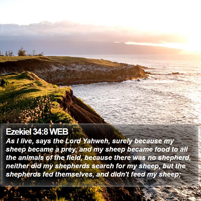 Ezekiel 34:8 WEB Bible Study