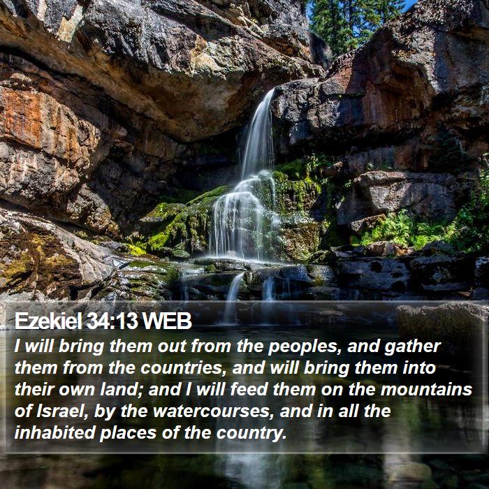 Ezekiel 34:13 WEB Bible Study