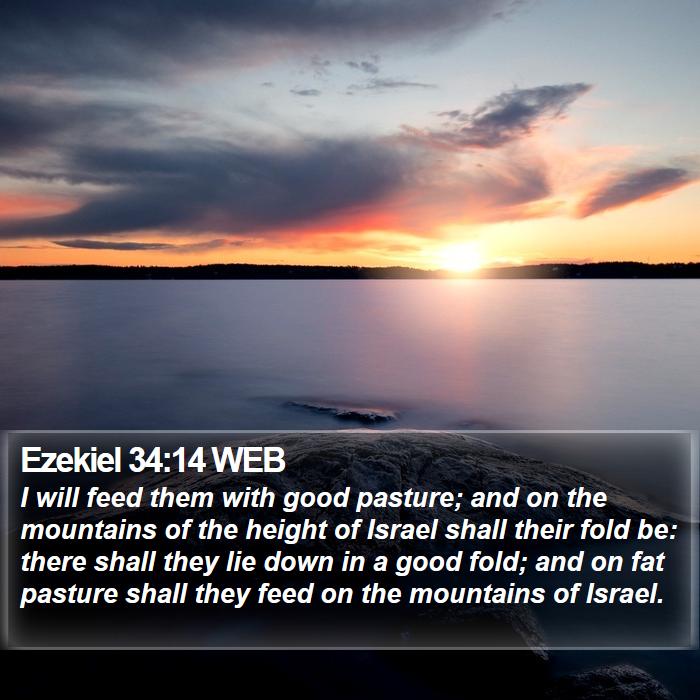 Ezekiel 34:14 WEB Bible Study