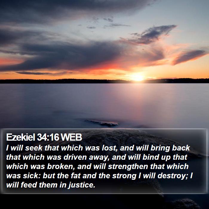 Ezekiel 34:16 WEB Bible Study