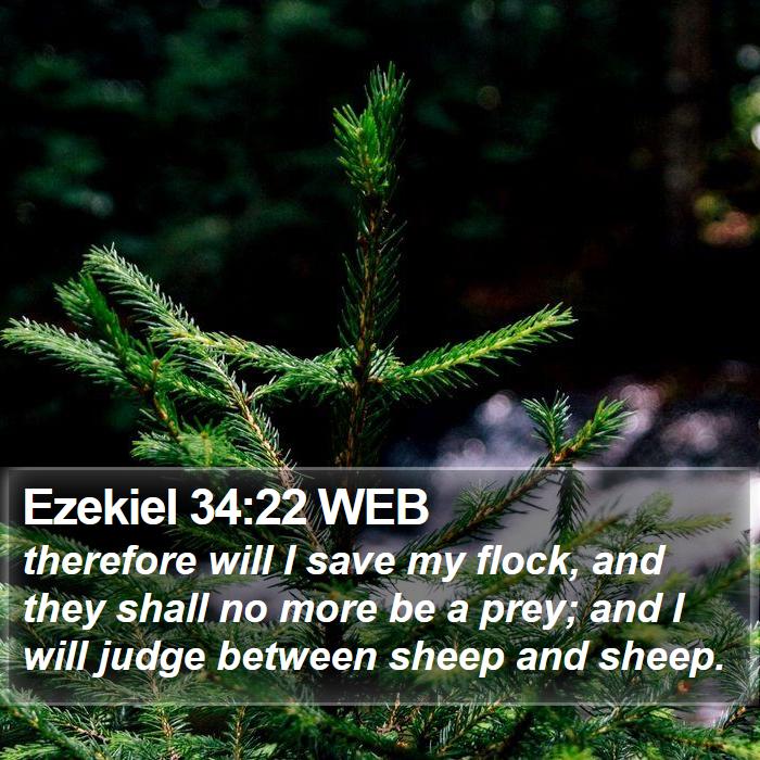 Ezekiel 34:22 WEB Bible Study