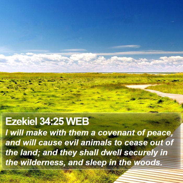 Ezekiel 34:25 WEB Bible Study