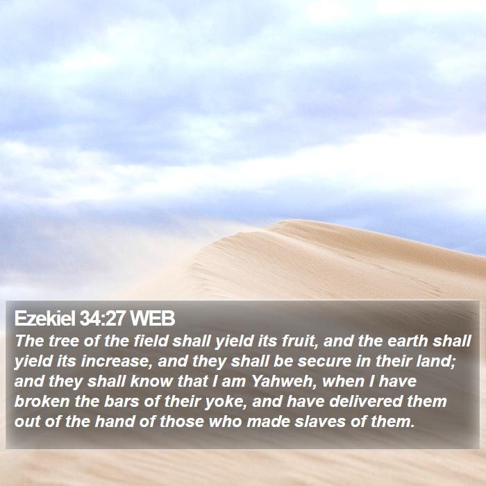 Ezekiel 34:27 WEB Bible Study