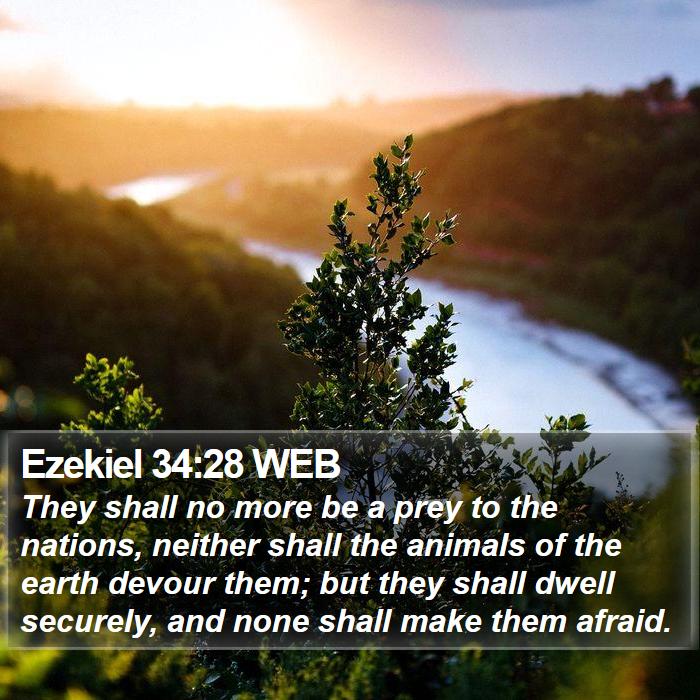 Ezekiel 34:28 WEB Bible Study