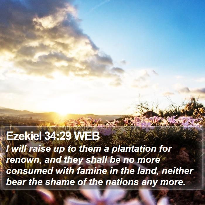 Ezekiel 34:29 WEB Bible Study