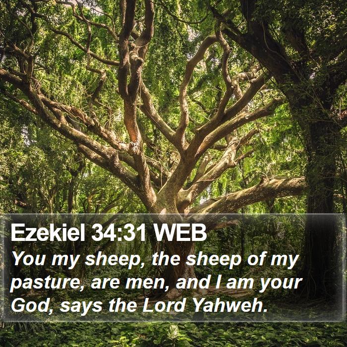 Ezekiel 34:31 WEB Bible Study