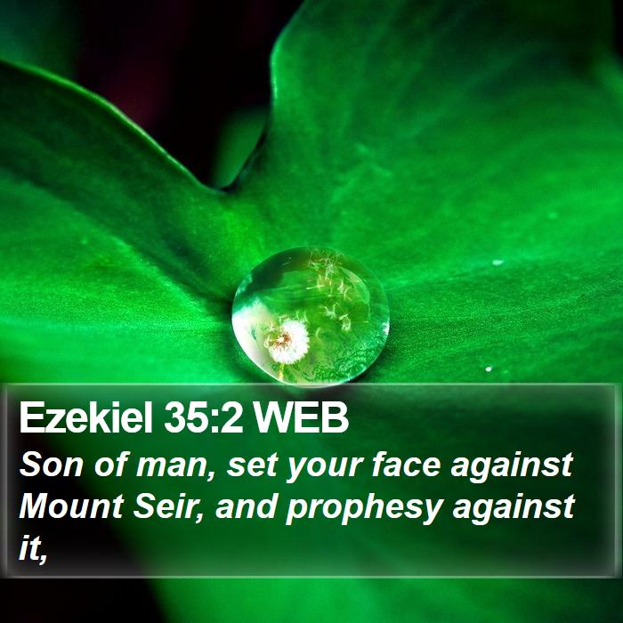 Ezekiel 35:2 WEB Bible Study