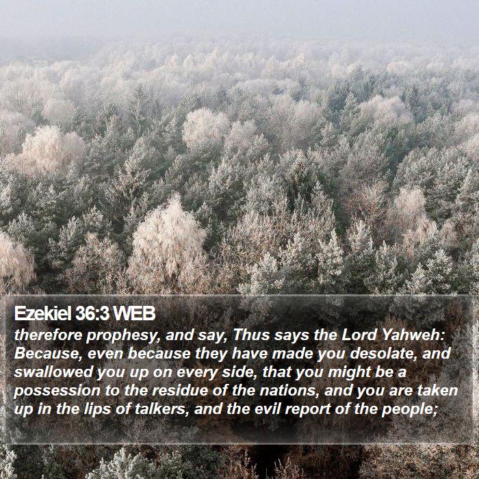 Ezekiel 36:3 WEB Bible Study