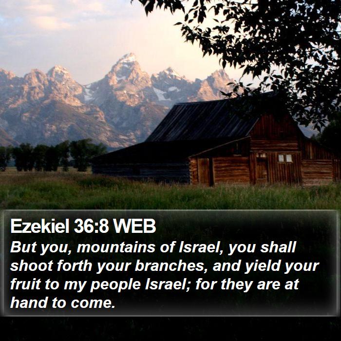 Ezekiel 36:8 WEB Bible Study