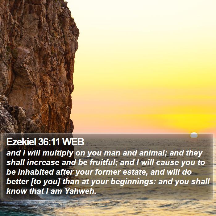 Ezekiel 36:11 WEB Bible Study