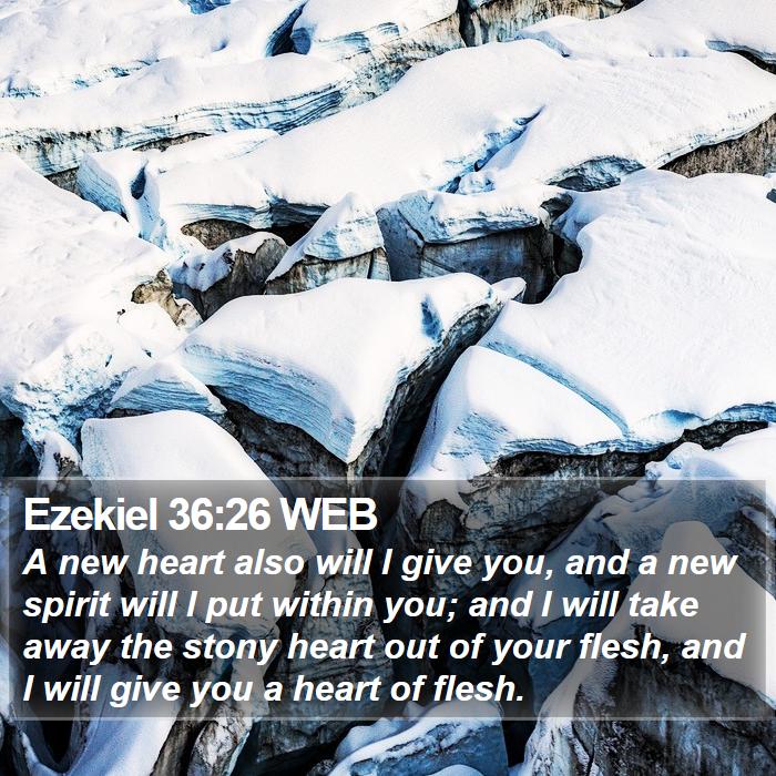 Ezekiel 36:26 WEB Bible Study