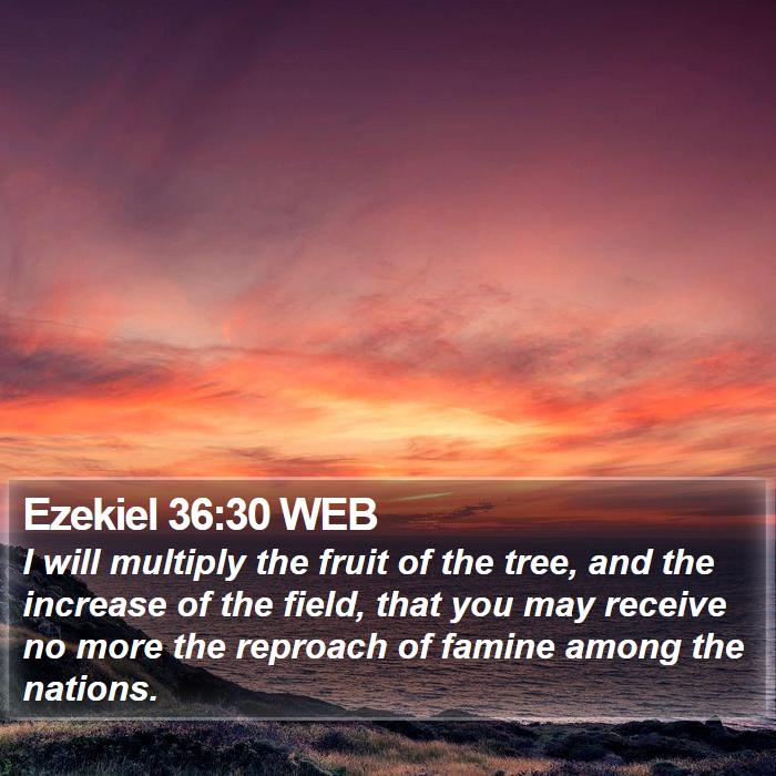 Ezekiel 36:30 WEB Bible Study