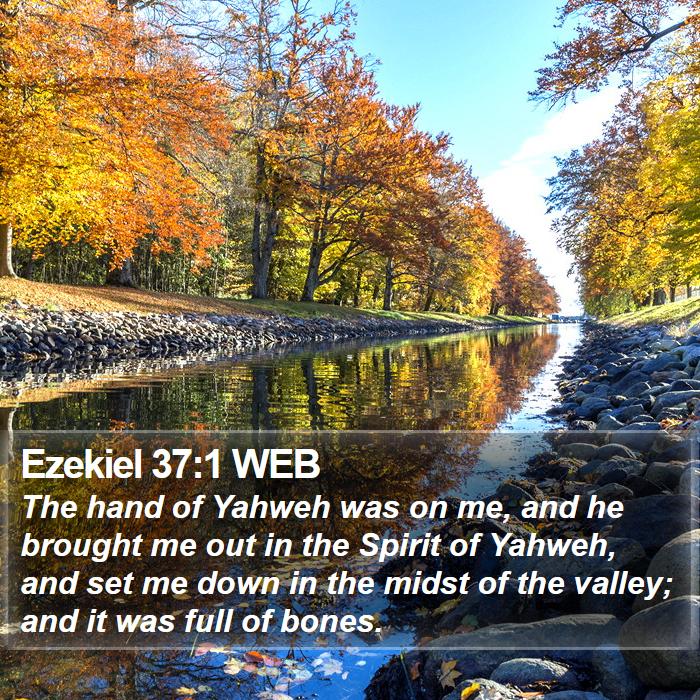 Ezekiel 37:1 WEB Bible Study