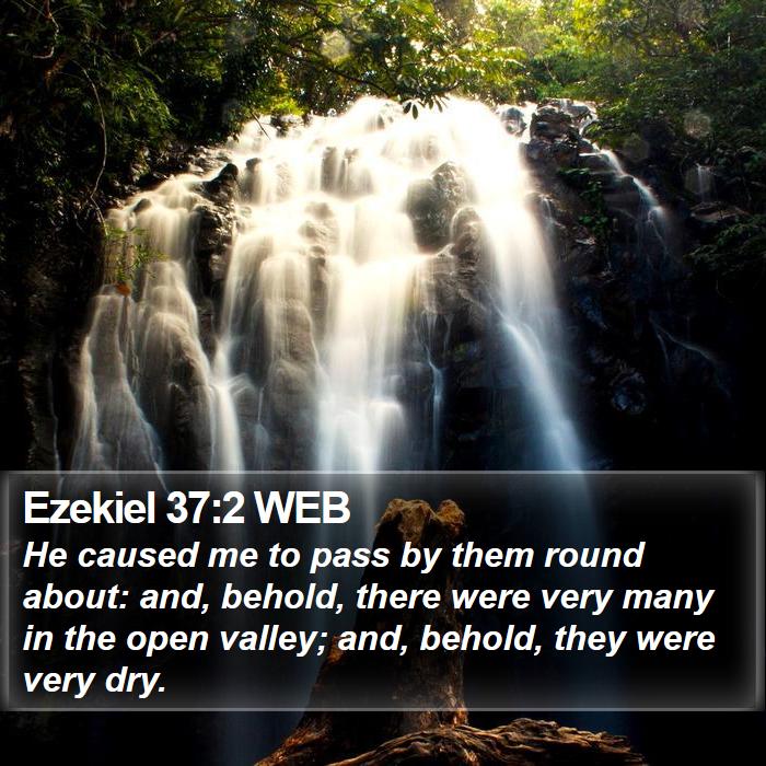 Ezekiel 37:2 WEB Bible Study