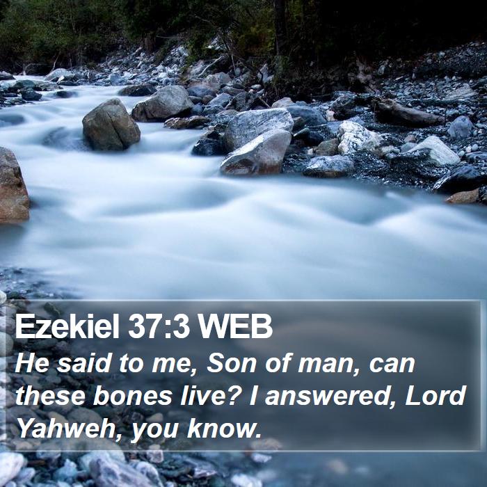 Ezekiel 37:3 WEB Bible Study