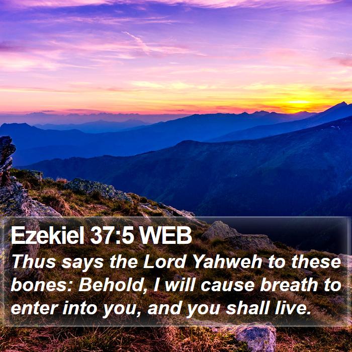 Ezekiel 37:5 WEB Bible Study