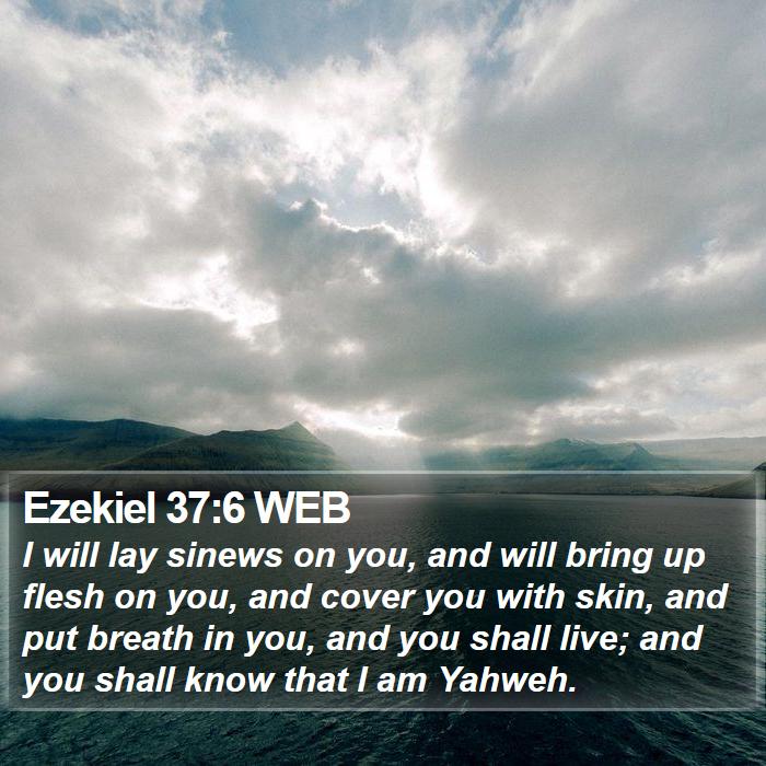 Ezekiel 37:6 WEB Bible Study