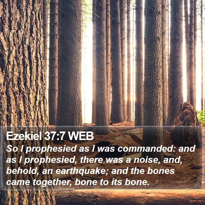 Ezekiel 37:7 WEB Bible Study