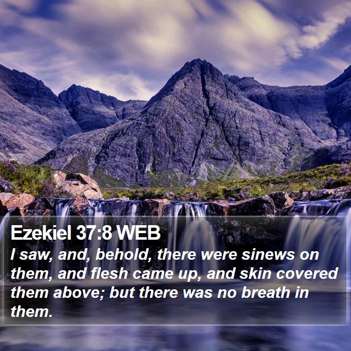 Ezekiel 37:8 WEB Bible Study