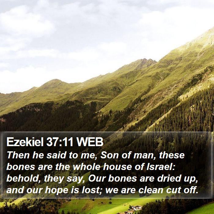 Ezekiel 37:11 WEB Bible Study