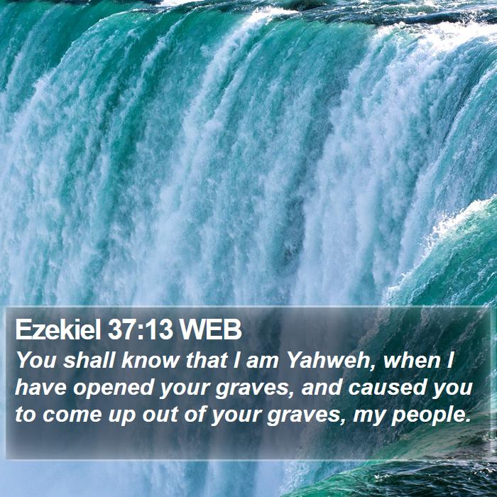 Ezekiel 37:13 WEB Bible Study