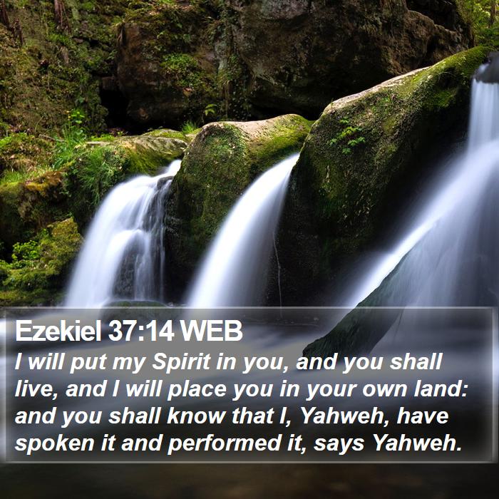 Ezekiel 37:14 WEB Bible Study