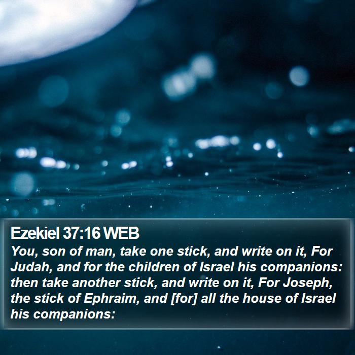 Ezekiel 37:16 WEB Bible Study