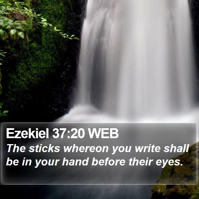 Ezekiel 37:20 WEB Bible Study